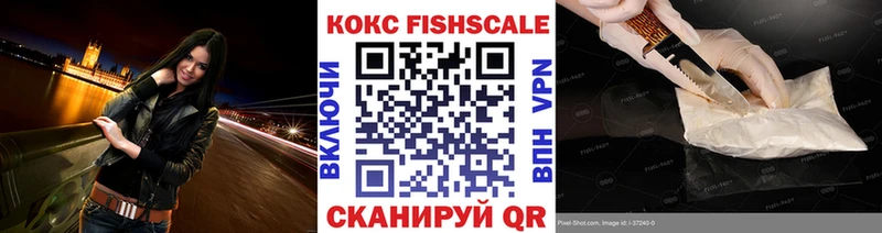 Кокаин Fish Scale  Купить  Карасук 