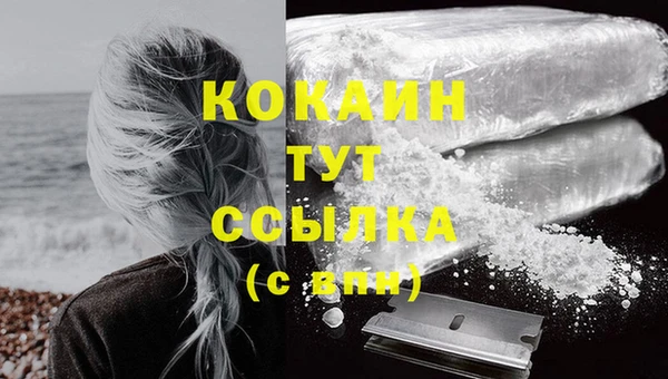 гидра Сафоново