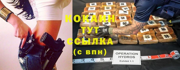 дурь Дмитровск