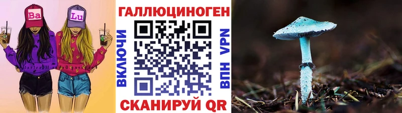 Купить  Карасук  Галлюциногенные грибы GOLDEN TEACHER 