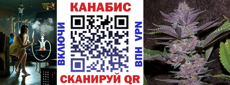 Каннабис конопля Карасук
